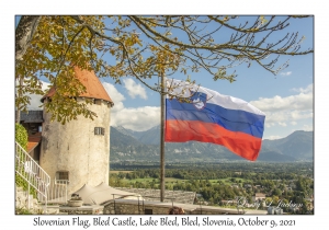 Slovenian Flag