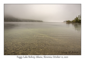 Foggy Lake Bohinj
