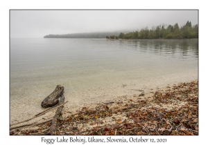 Foggy Lake Bohinj
