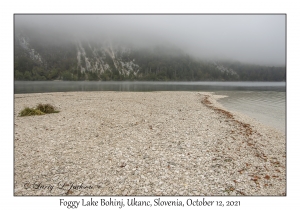 Foggy Lake Bohinj