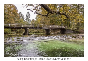 Bohinj River Bridge