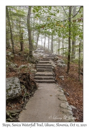 Savica Waterfall Trail