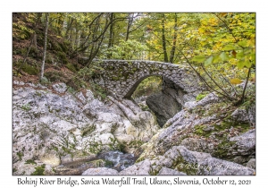 Bohinj River Bridge