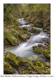 Slow Shutter Radovna River