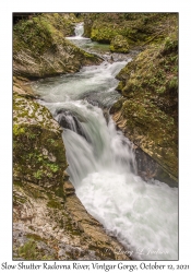 Slow Shutter Radovna River