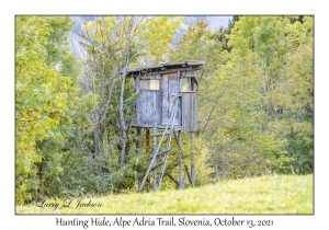 Hunting Blind