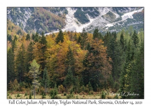 Julian Alps Valley