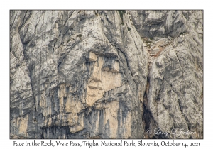 Face in Rock