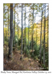 Vetical Blur Trees