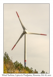 Wind Turbine