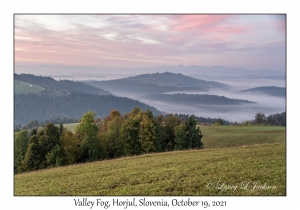 Valley Fog