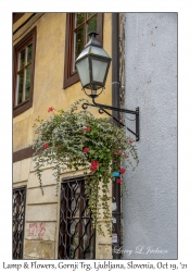 Lamp & Flowers