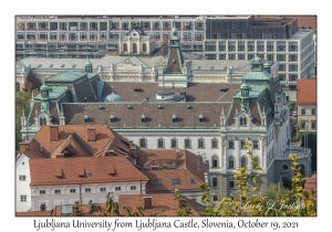 University of Ljubljana from Ljubljana Castle