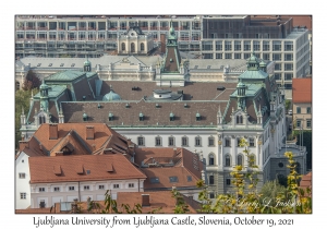 University of Ljubljana from Ljubljana Castle