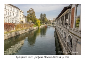 Ljubljanica River