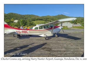 Charter Cessna 205