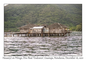House on Pilings