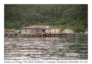 House on Pilings