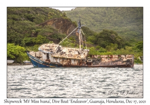 Shipwreck MV 'Miss Ivana'