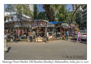 Matunga Flower Market