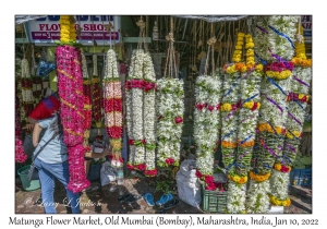 Matunga Flower Market