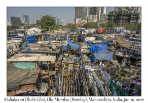 Mahalaxmi Dhobi Ghat