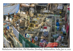 Mahalaxmi Dhobi Ghat