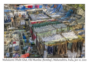 Mahalaxmi Dhobi Ghat