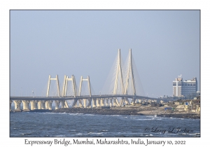 Expressway Bridge