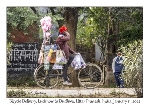 Bicycle Delivery