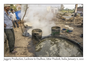 Jaggery Production