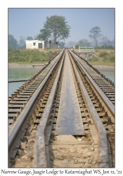 Narrow Gauge Railroad