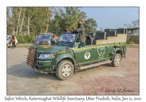 Safari Vehicle