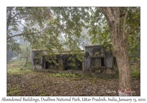 Abandoned Building