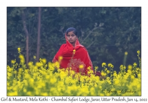 Girl & Mustard