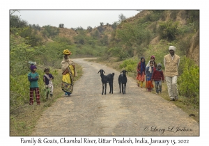 Famiy & Goats