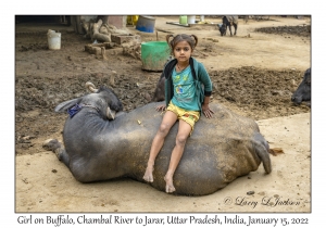 Girl on Buffalo