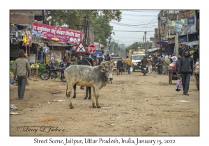 Street Scene