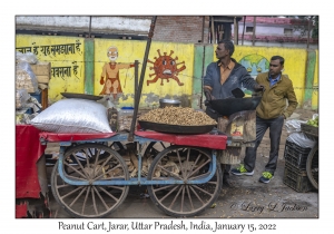 Peanut Cart