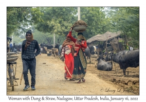 Woman with Dung & Straw