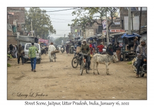 Street Scene