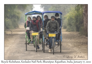 Bicycle Rickshaws