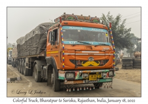 Colorful Truck