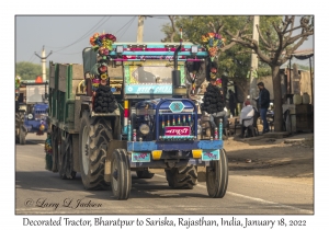 Decorated Tractors