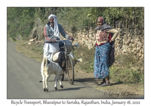 Bicycle Transport