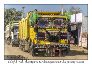 Colorful Truck