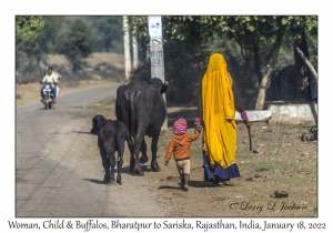 Woman, Child & Buffalo