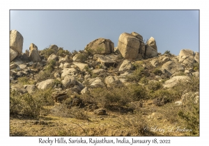 Rocky Hills