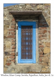 Window