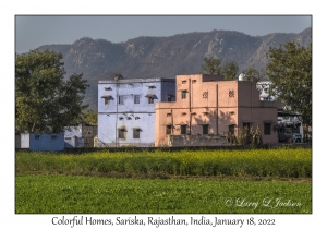 Colorful Homes